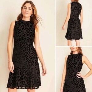 ⭐️Price dropped!⭐️ NWT Ann Taylor Velvet Mock Neck Mini Dress (10)